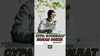 Красивое чтение коран слушайте коран и сохранять молчание сура фуссилат fusilat suresi #коран#сура#