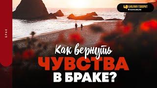 Как вернуть чувства в браке? | "Библия говорит" | 1803