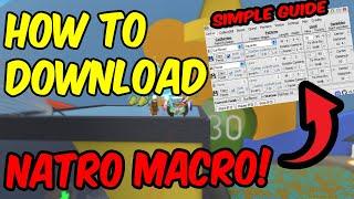 How to Download *Natro Macro* | UPDATED GUIDE! (Bee Swarm Simulator)