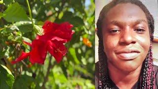 Pregnant 18-year-old hit and killed by car in Riviera Beach