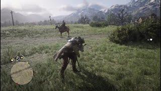 NPC freaks out over Arthur hunting an animal - RDR2