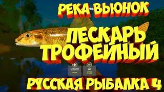 русская рыбалка 4 - Пескарь река Вьюнок - рр4 фарм Алексей Майоров russian fishing 4