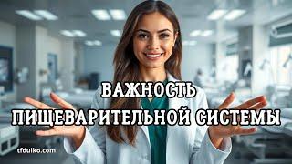 Почему ваша пищеварительная система важнее, чем вы думаете