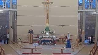 Solemn Mass (26.1.2025) | St Thomas More, Sheldon