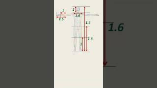 #golden  #ratio  in #humanbody  #instagram #maths #trick