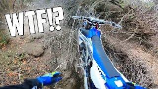 FOUND BRAND NEW YAMAHA YZ250F!