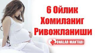 6 Ойлик Хомиланиг Ривожланиши  ||  6 Oyliq Homilaning Rivojlanishi  #OnalarMaktabi