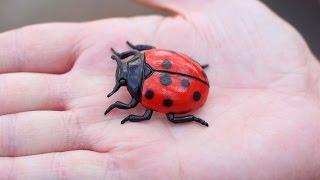 WORLD'S LARGEST LADYBUG!