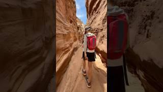 Hiking with a dog in a slot canyon?