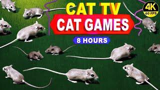 CATCHING MICE! Entertainment Video for Cats to Watch | CAT GAMES - CAT & DOG TV.