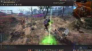 BDO SUCC Zerker - Node War Record 7