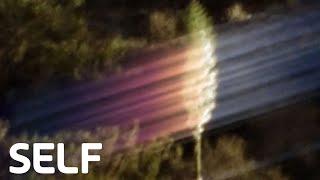 My first psychedelic therapy experience