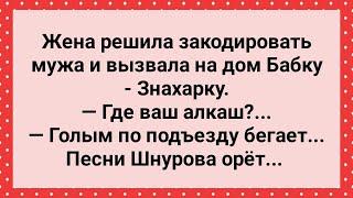 Муж Голым по Подъезду Бегает! Сборник Свежих Анекдотов! Юмор!