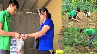 The orphan boy dug the soil and went to buy vegetable seedlings to bring home.