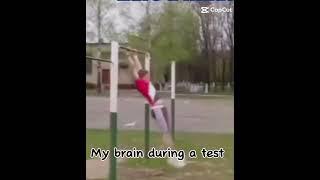 Pov:my brain during a test #nomatch #noschool #meme