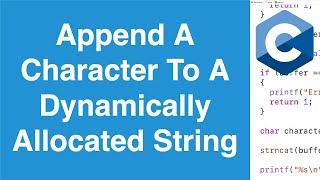 Append A Character To A Dynamically Allocated String | C Programming Example