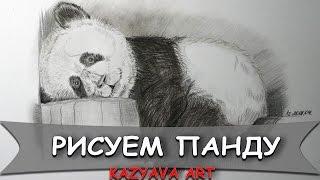 Как нарисовать панду медведя карандашом/How to draw a panda bear/ [Kazyava Art]