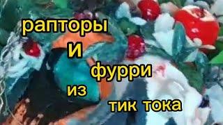 рапторы и фурри из тик тока ( 2 часть,не мои) #рапторы #тикток #можноактив #дайтеактив