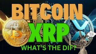 BITCOIN VS XRP The Battle for CRYPTO Supremacy