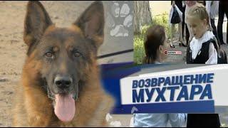 Возвращение Мухтара 4 сезон   24 серия