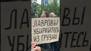 Дочь Лаврова выгнали из Грузии вместе с родственниками