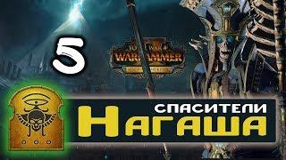 Цари Гробниц прохождение Total War Warhammer 2 за Архана Черного - #5