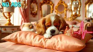 Peaceful Dog Music for Empty House | 14HR Separation Stress Solution #dogpeace
