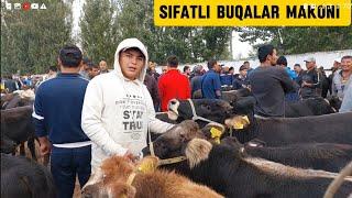 Tergachi mol bozori semiz boqma va yosh buqalar narhlari bilan tanishing 20.09.2024yil