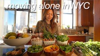 grocery shopping at the farmers market + flea market in central park | MOVING ALONE IN NYC ep.2