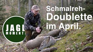 Schmalreh-Doublette im April | JagdMomente | 2022