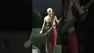 Red Hot Chili Peppers - Get Off Your Ass and Jam (Funkadelic) #redhotchilipeppers #getoffyourassnjam