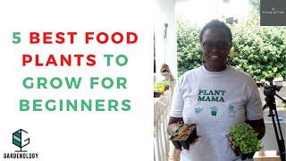 5 best food plants to grow for beginners
