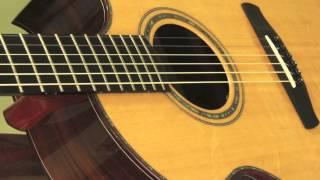 Guitar Gallery presents Ryan Grand Cathedral Fingerstyle Guitar