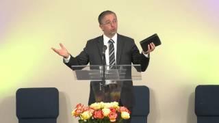 David 5 - Sasa Andjelkovic