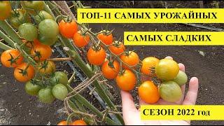 ТОП-11 ЛУЧШИХ УРОЖАЙНЫХ и СЛАДКИХ ТОМАТОВ, мясистые, невероятно вкусные, сезон 2022 года