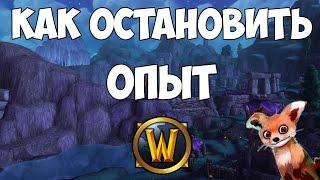 Как остановить полоску опыта в WoW?