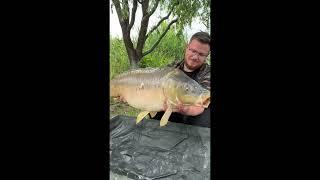 Brother ÂÂÂÂÂ  , #shorts #nature #carp #4k #reels #carpfishing #reel #shortsvideo #bigcarp