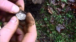 DETECTING A NEW SITE WITH MINELAB ETRAC AND XP DEUS - PONDGURU