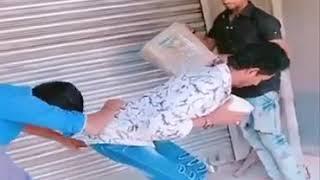 funny videos