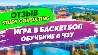 Игра в баскетбол. Обучение в ЧЗУ на факультете менеджмента. Отзыв о языковой школе Study Consulting