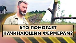 Кто помогает начинающим фермерам