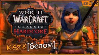  Маг 37, кач в белом шмоте ("челендж") – WoW Classic HARDCORE – Стрим 29