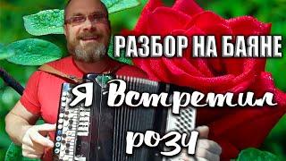 Я ВСТРЕТИЛ РОЗУ/Разбор на баяне. Туман, Колхозный панк, Русская дорога. Фестиваль под открытым небом