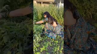 Meri dilruba..️ #hindisong #savita #viralvideo #explorepage