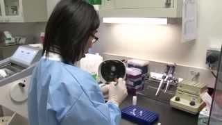 A Core Mission - Medical College of Wisconsin Department of Pathology