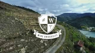 Wine University II:  What is Appellation?