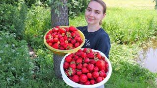 24 часа в ДЕРЕВНЕ #3, КЛУБНИЧНЫЙ ДЕНЬ, завтрак, обед и ужин в селе