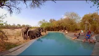 360 Video of Wildlife Film trip - Photos of Africa VR Safari