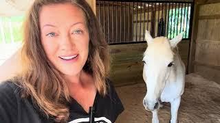 Day in the life on a horse farm!! // Summer Routine