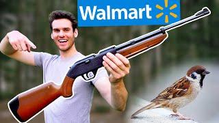 BIRD HUNTING with Walmart’s CHEAPEST PELLET GUN!